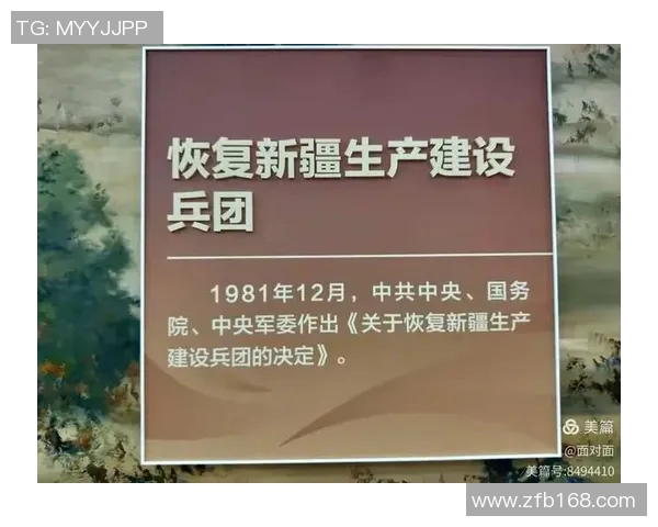 武汉排球队勇闯世界杯预选赛的辉煌历程与奋斗精神